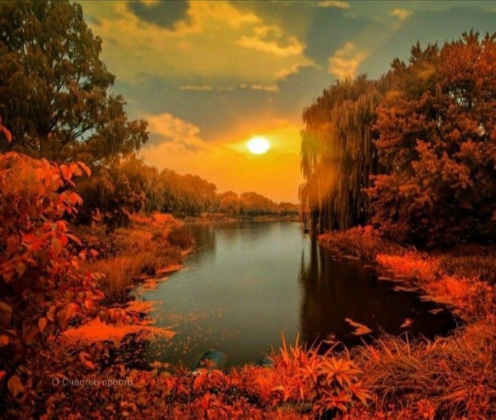 Природа ярко умирает... 